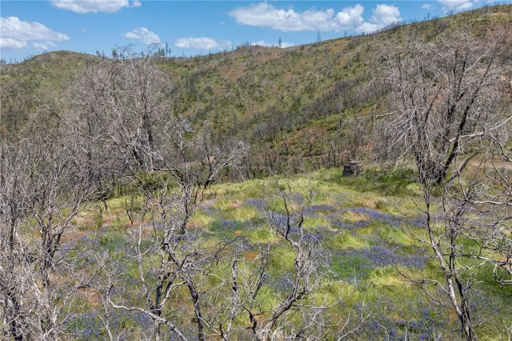39 Acres Buckingham Mountain Road Mariposa, CA 95338