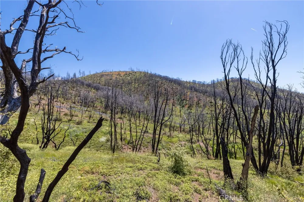 39 Acres Buckingham Mountain Road Mariposa, CA 95338