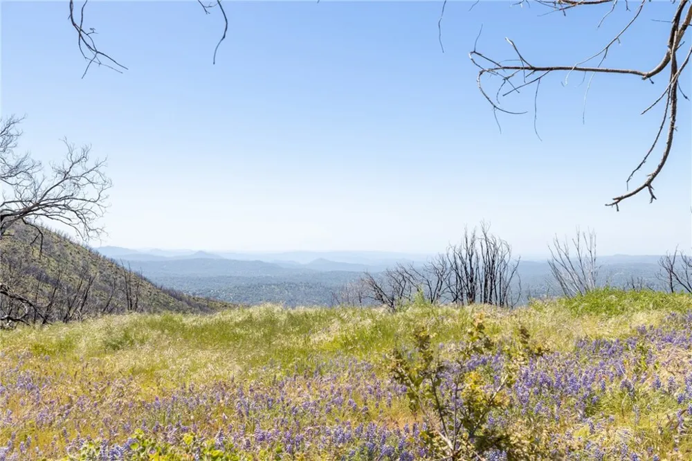 39 Acres Buckingham Mountain Road Mariposa, CA 95338