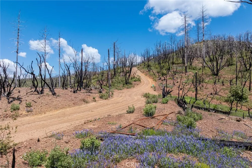 39 Acres Buckingham Mountain Road Mariposa, CA 95338