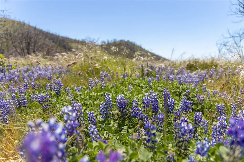 39 Acres Buckingham Mountain Road Mariposa, CA 95338