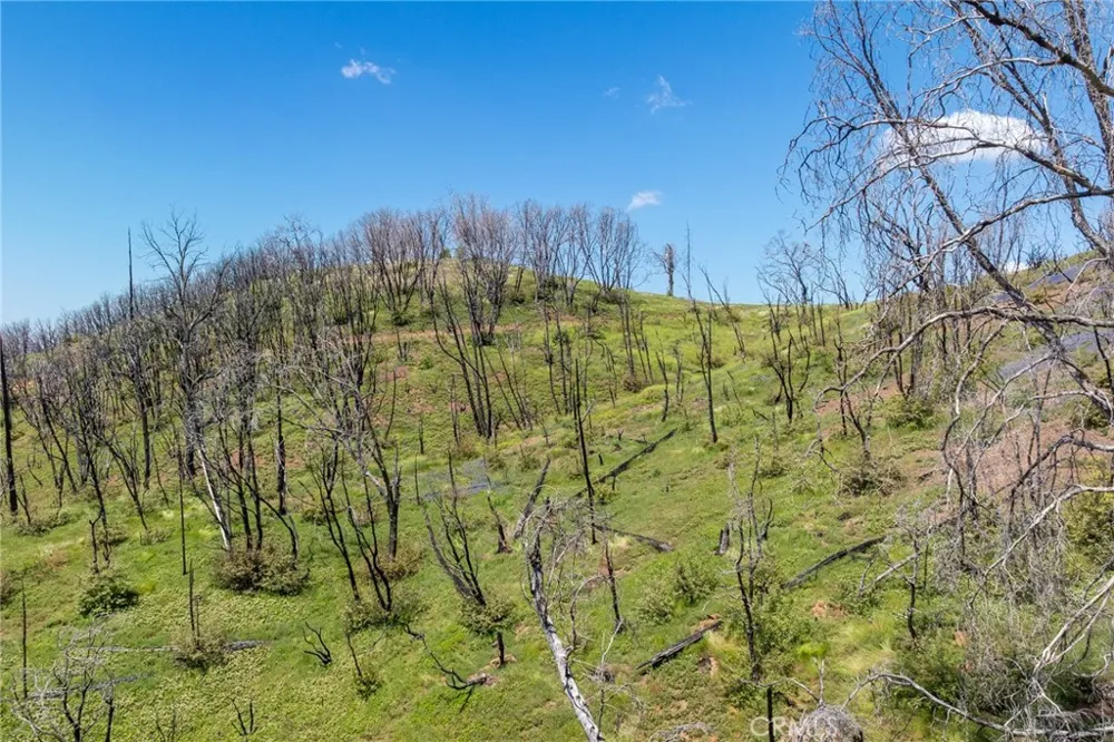 39 Acres Buckingham Mountain Road Mariposa, CA 95338