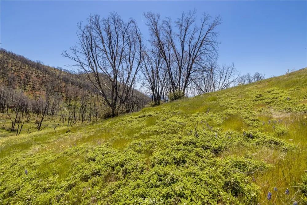 39 Acres Buckingham Mountain Road Mariposa, CA 95338