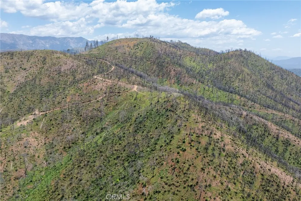 39 Acres Buckingham Mountain Road Mariposa, CA 95338