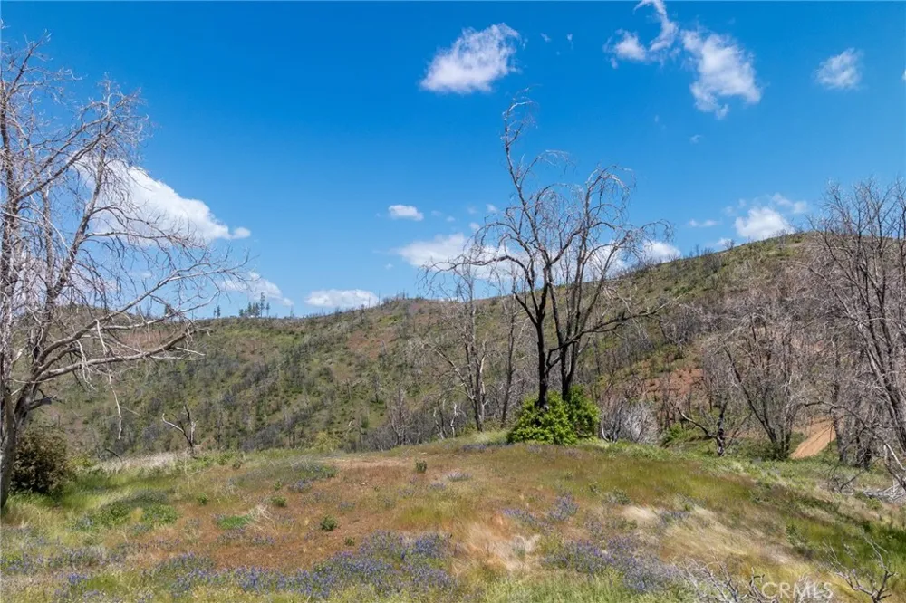 39 Acres Buckingham Mountain Road Mariposa, CA 95338