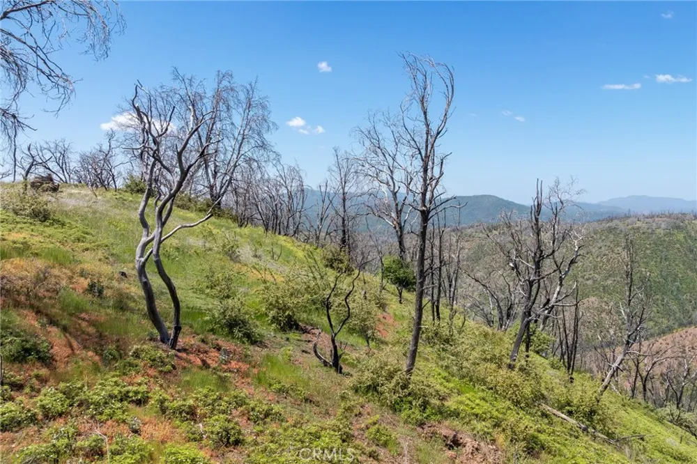 39 Acres Buckingham Mountain Road Mariposa, CA 95338