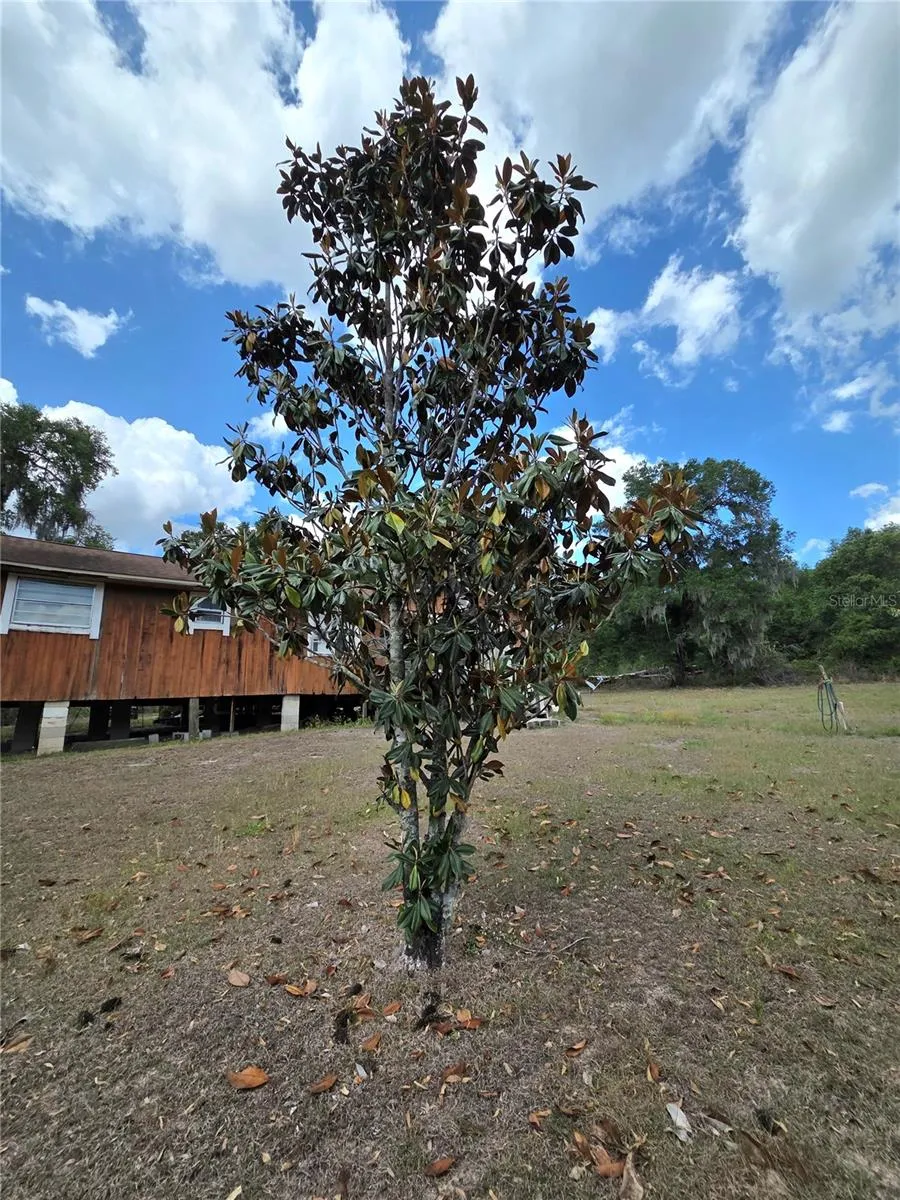 27440 WINCHESTER DRIVE Brooksville, FL 34602