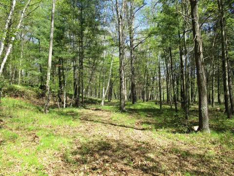 XX S Long Lake Rd