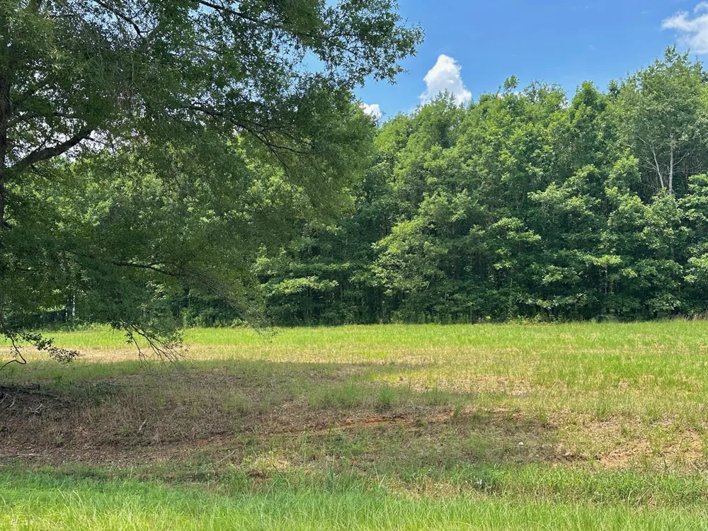 0 Chappel Road Waynesboro, GA 30830