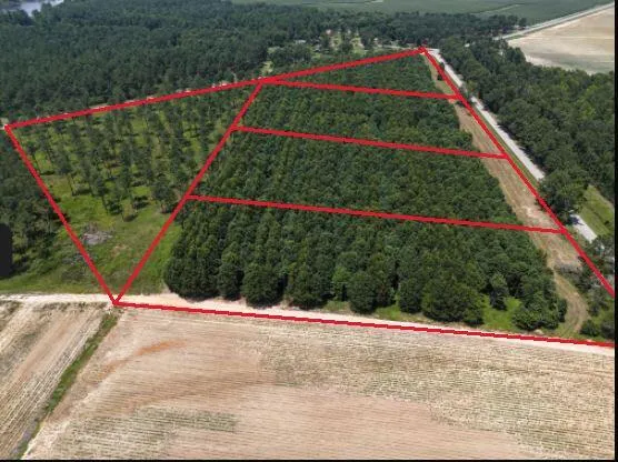 0 Chappel Road Waynesboro, GA 30830