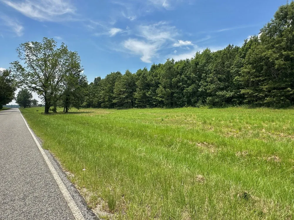 0 Chappel Road Waynesboro, GA 30830