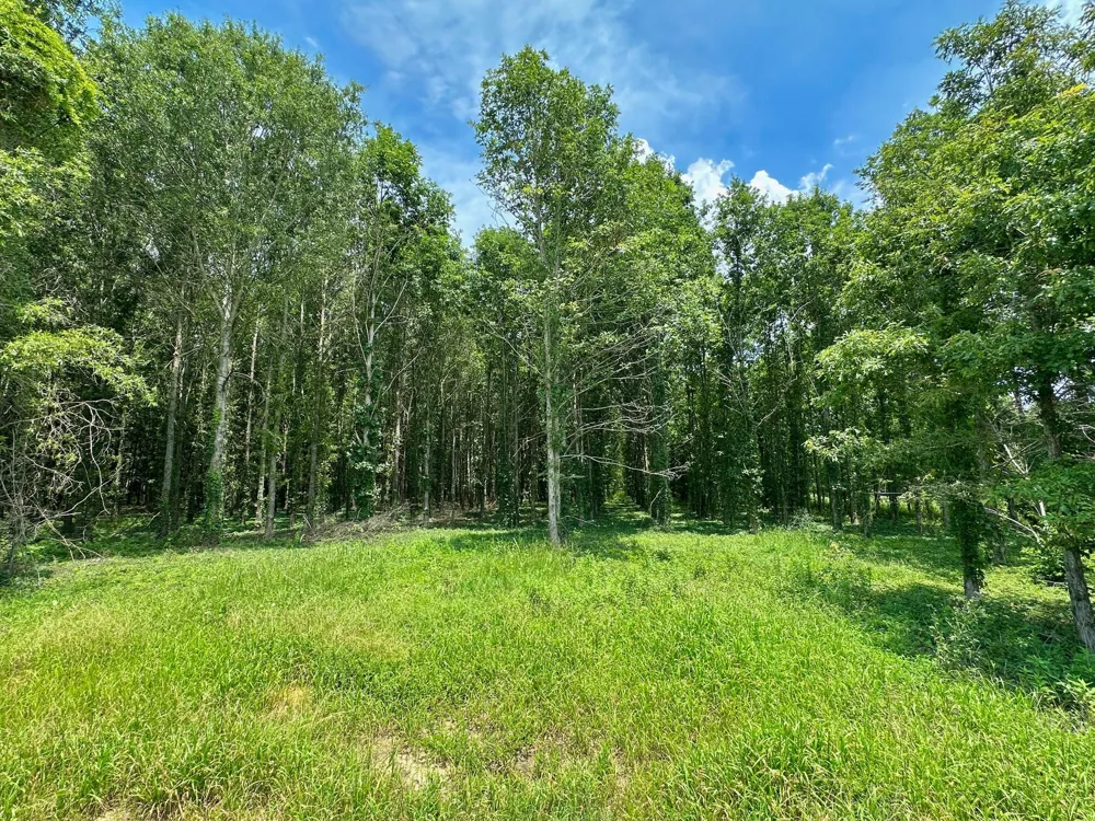 0 Chappel Road Waynesboro, GA 30830