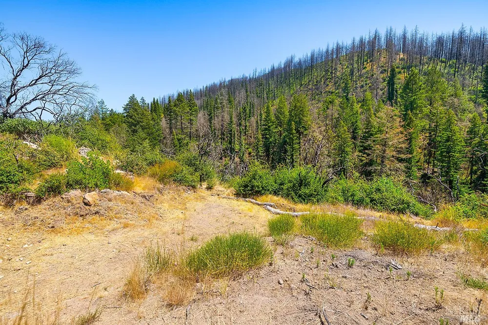 7905 St Helena Road Santa Rosa, CA 95404