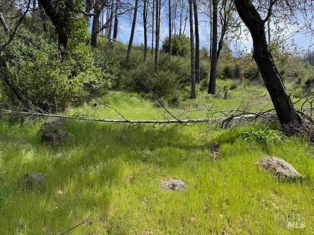 7905 St Helena Road Santa Rosa, CA 95404