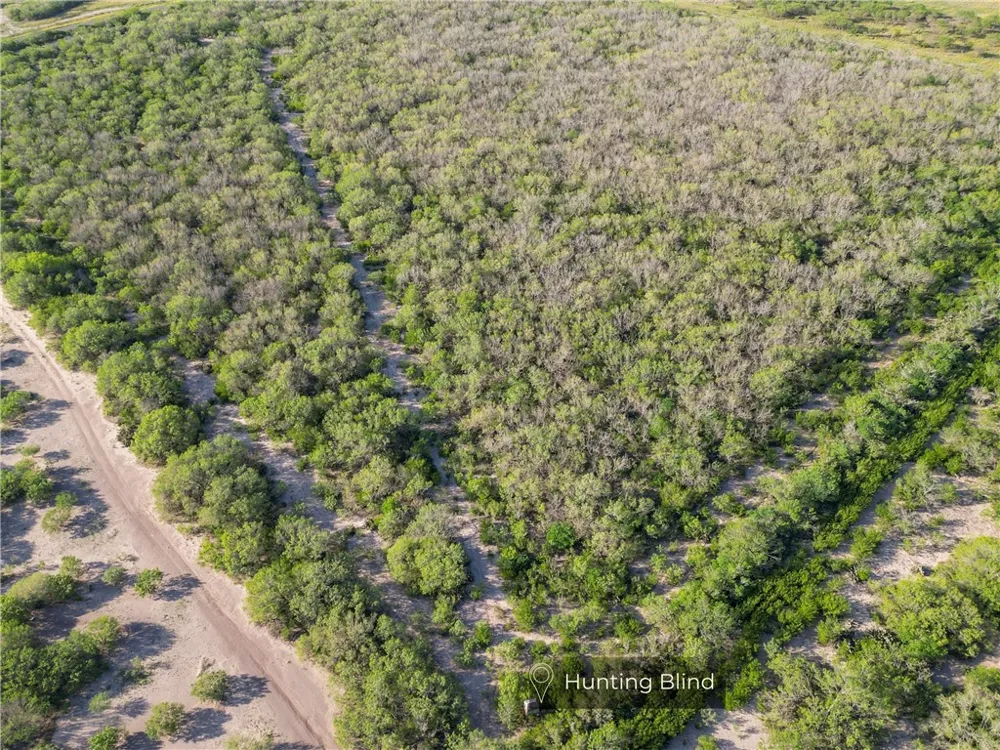 1305 FM 799 George West, TX 78022