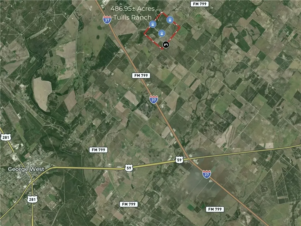 1305 FM 799 George West, TX 78022