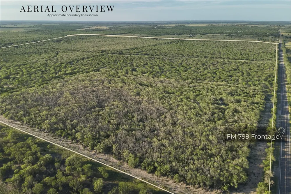 1305 FM 799 George West, TX 78022