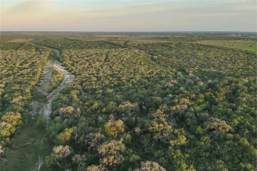 1305 FM 799 George West, TX 78022