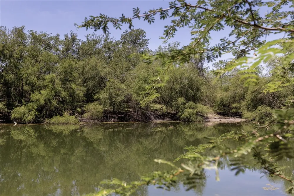 1305 FM 799 George West, TX 78022