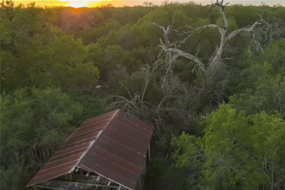 1305 FM 799 George West, TX 78022