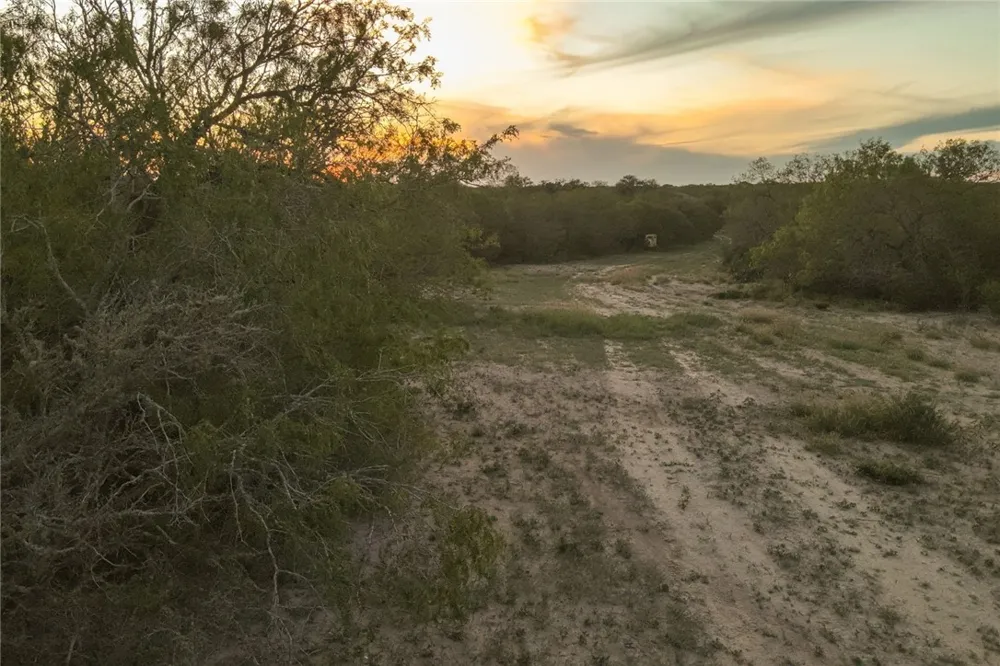 1305 FM 799 George West, TX 78022