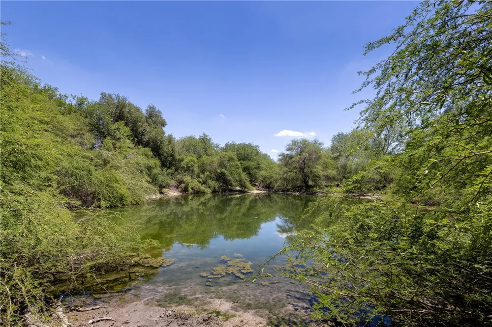 1305 FM 799 George West, TX 78022