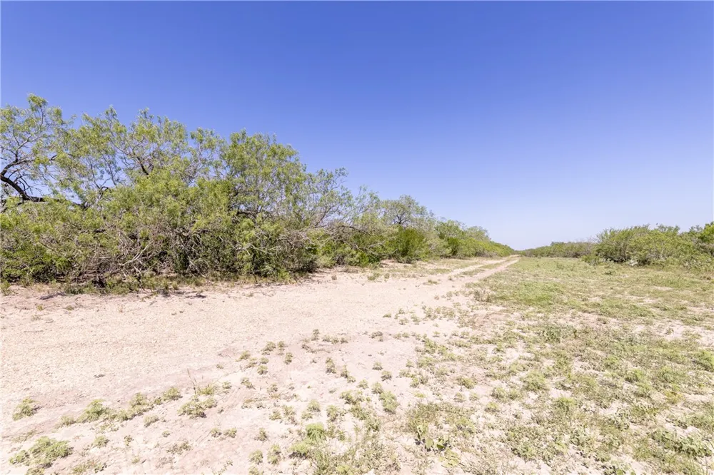 1305 FM 799 George West, TX 78022