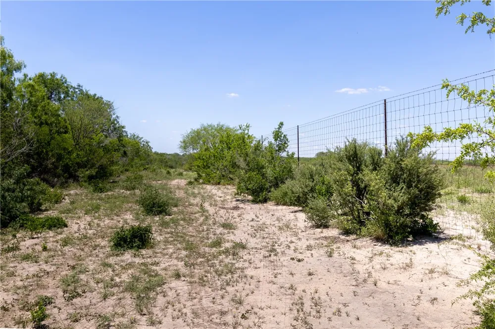 1305 FM 799 George West, TX 78022