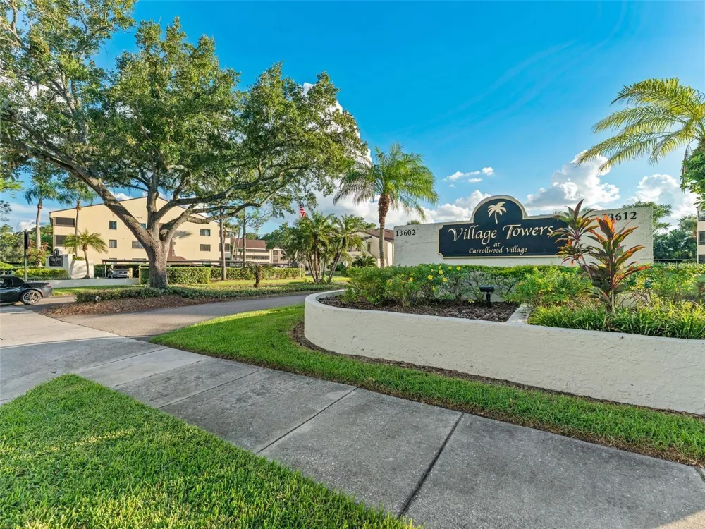 13608 S VILLAGE DRIVE #7204 Tampa, FL 33618