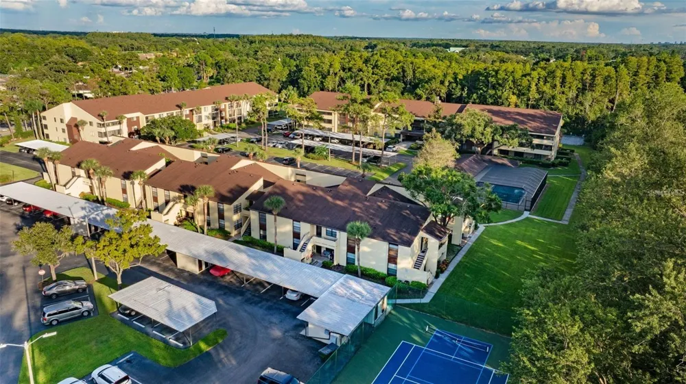 13608 S VILLAGE DRIVE #7204 Tampa, FL 33618