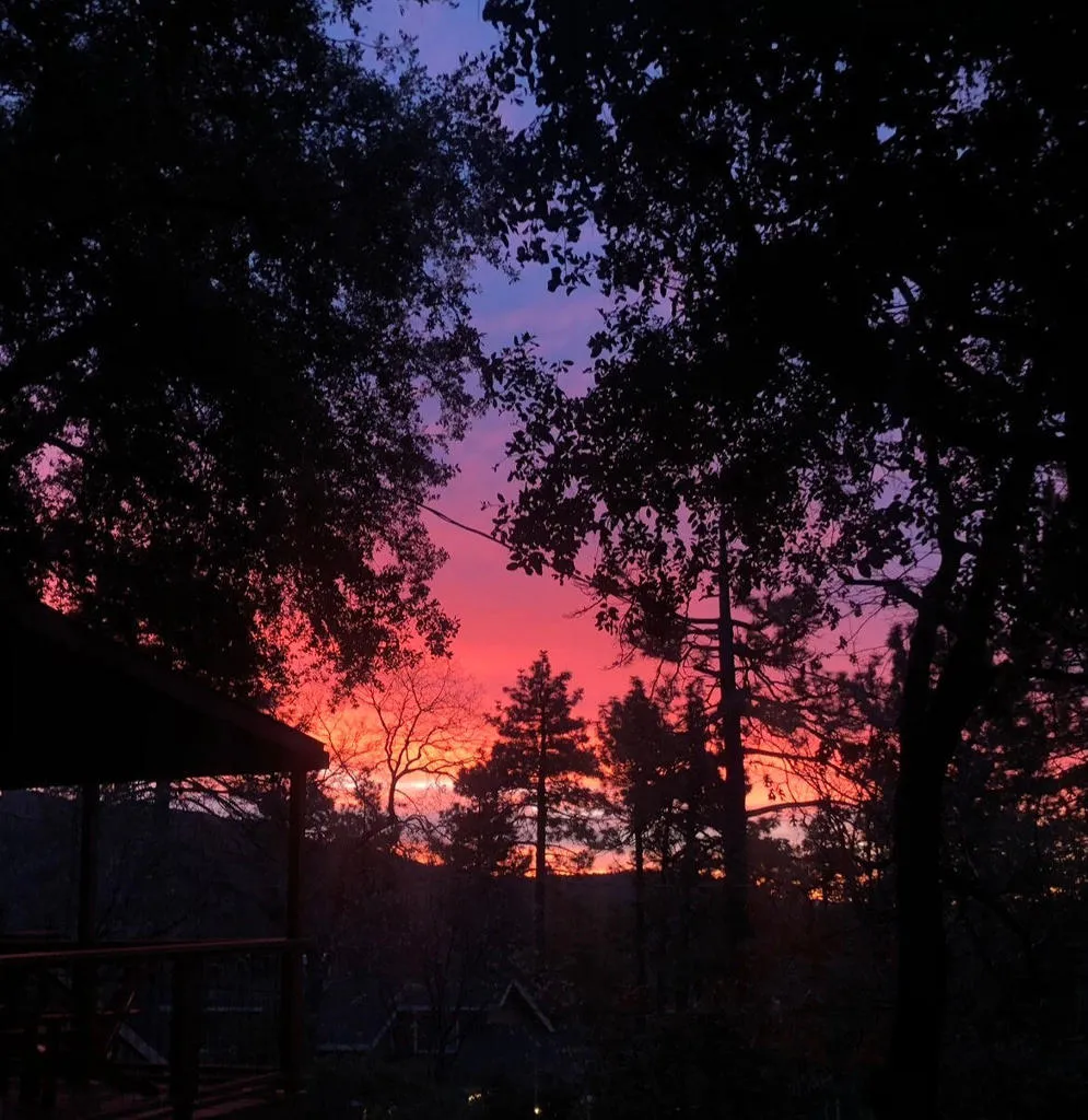 24945 Marion Ridge Drive Idyllwild, CA 92549