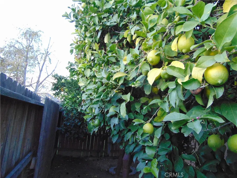 33763 Noreen Yucaipa, CA 92399