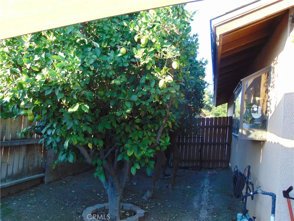33763 Noreen Yucaipa, CA 92399