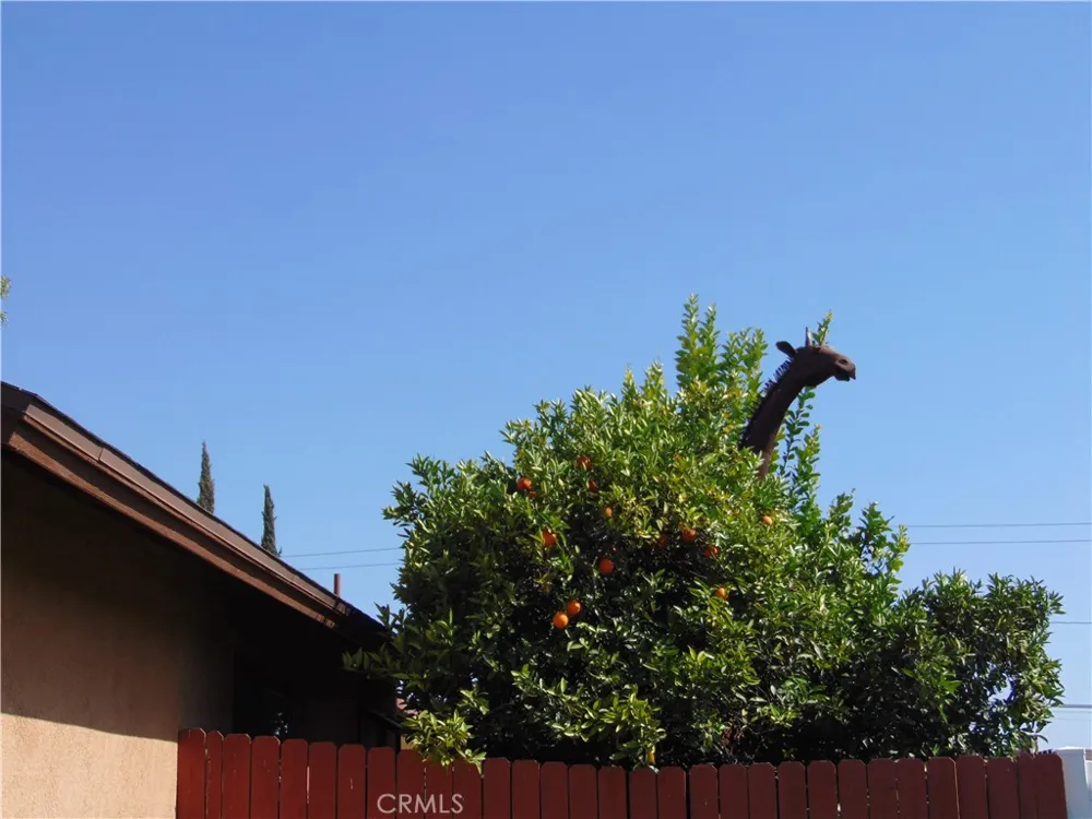 33763 Noreen Yucaipa, CA 92399