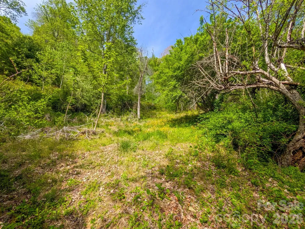 314 Byrd Creek Road Green Mountain, NC 28740