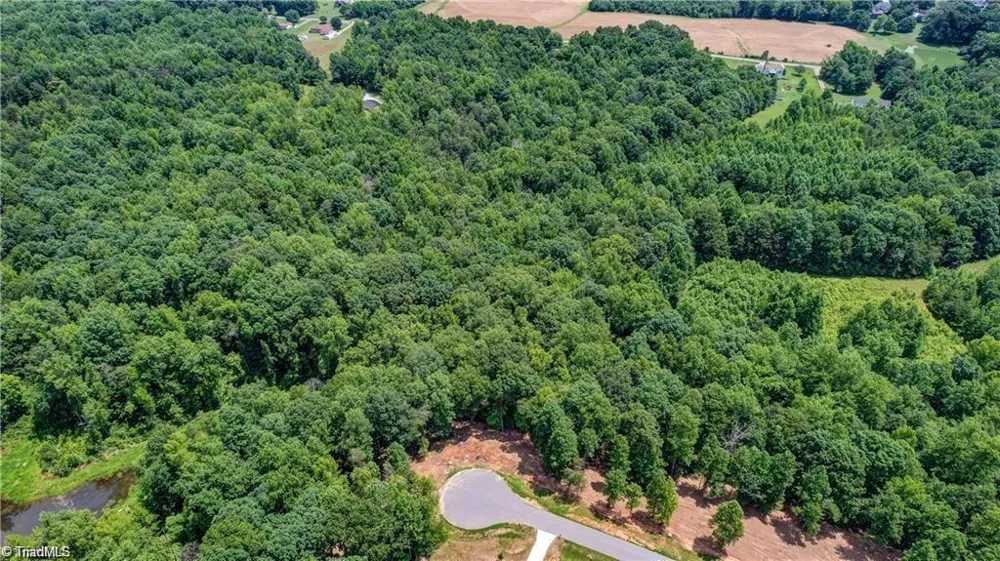 8434 Exmoor Trace Browns Summit, NC 27214