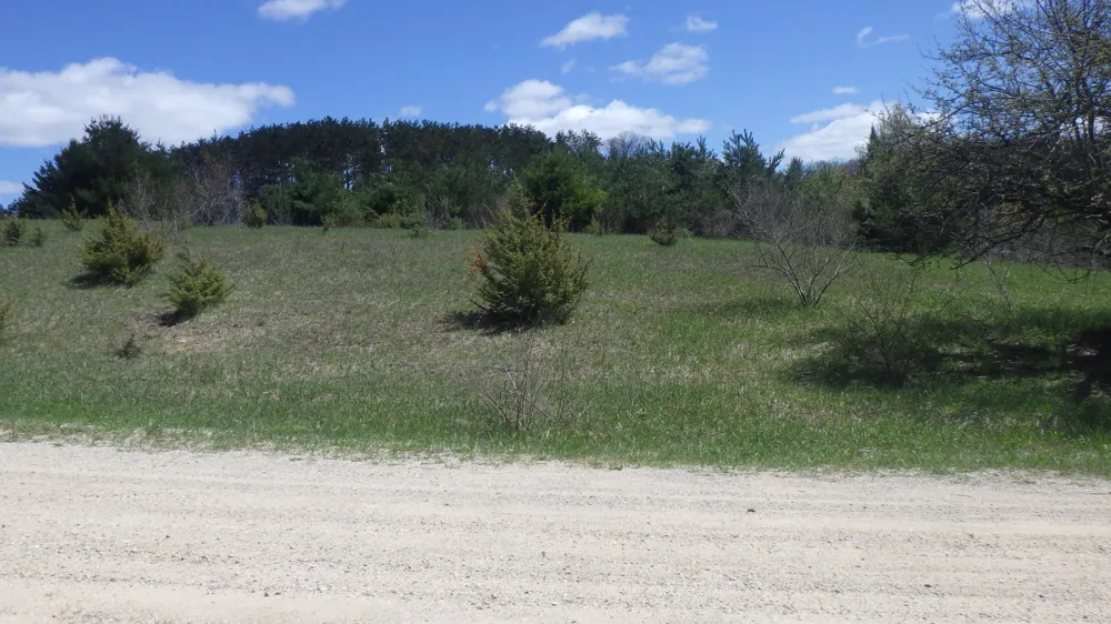 S 39 ROAD Cadillac, MI 49601