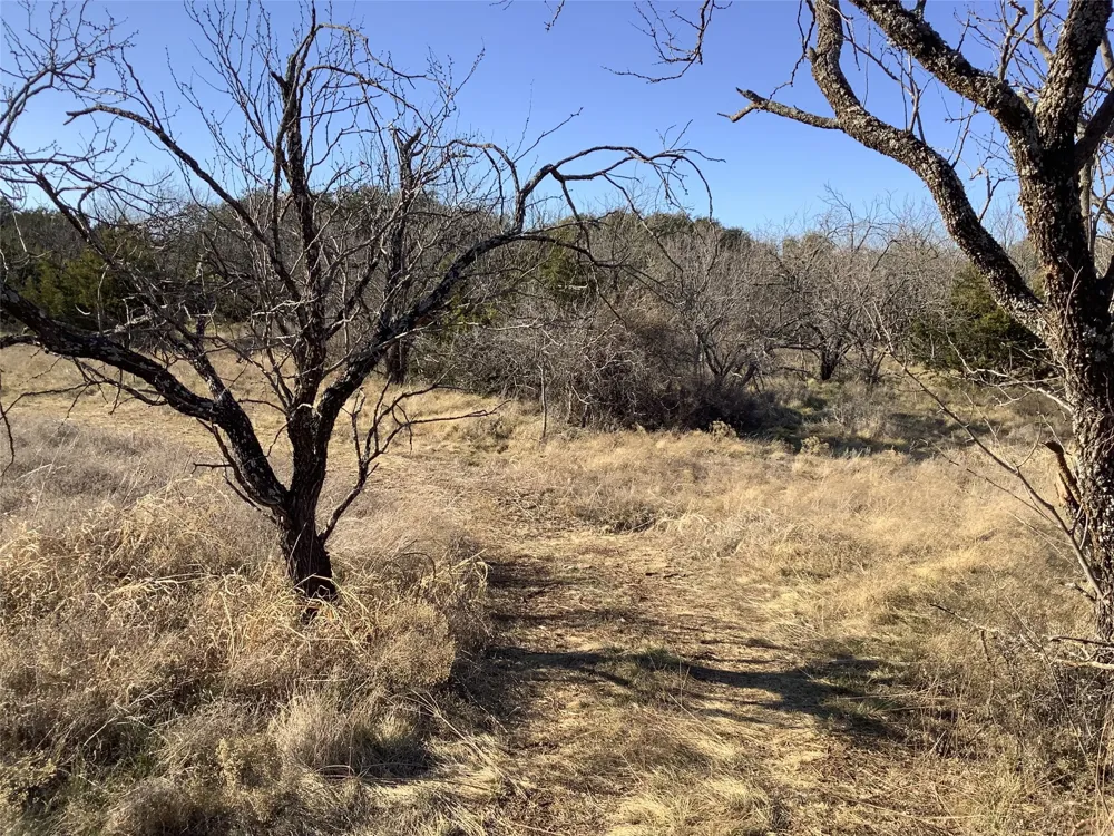 180 CR 343 Merkel, TX 79536