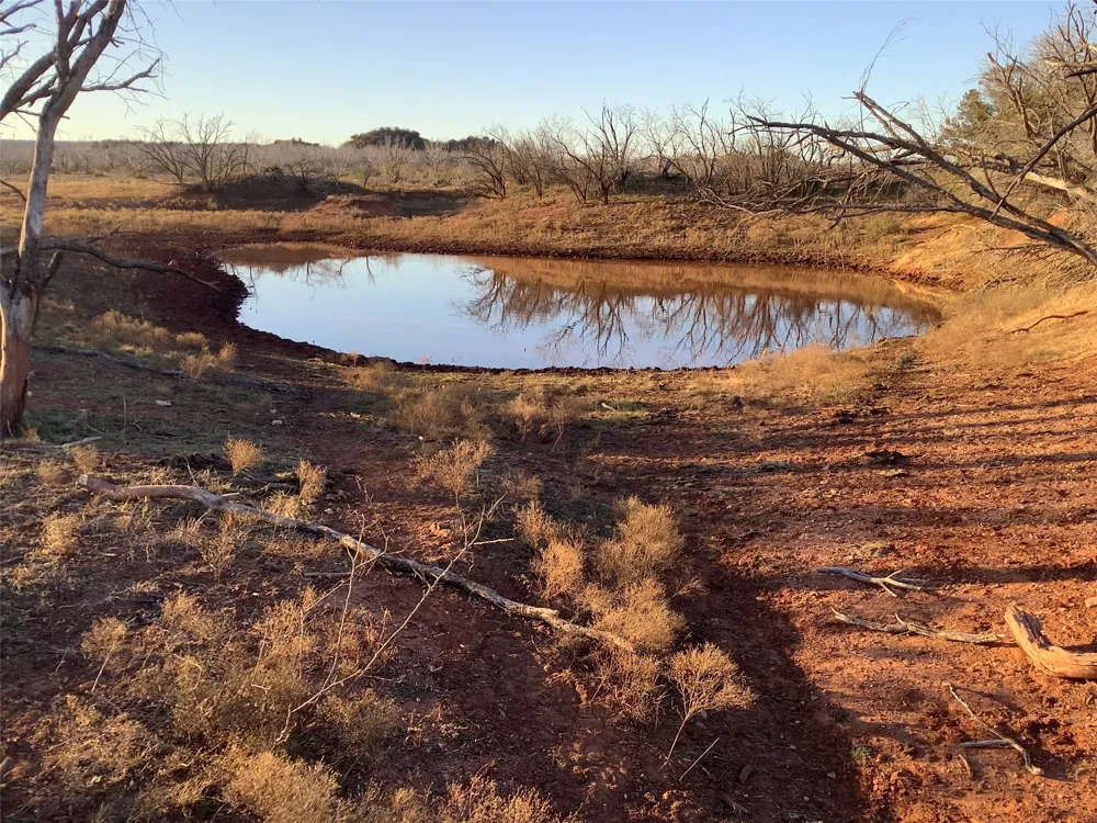 180 CR 343 Merkel, TX 79536