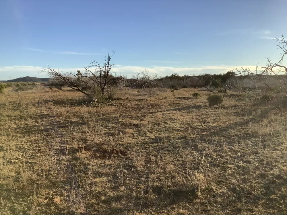 180 CR 343 Merkel, TX 79536