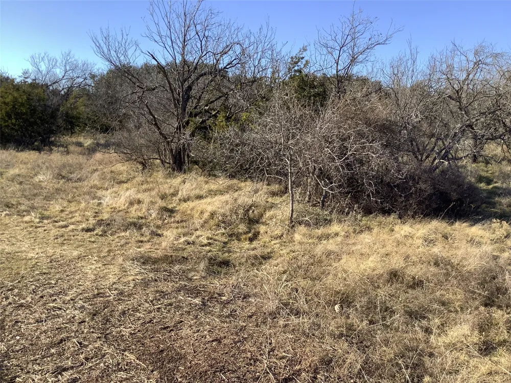 180 CR 343 Merkel, TX 79536