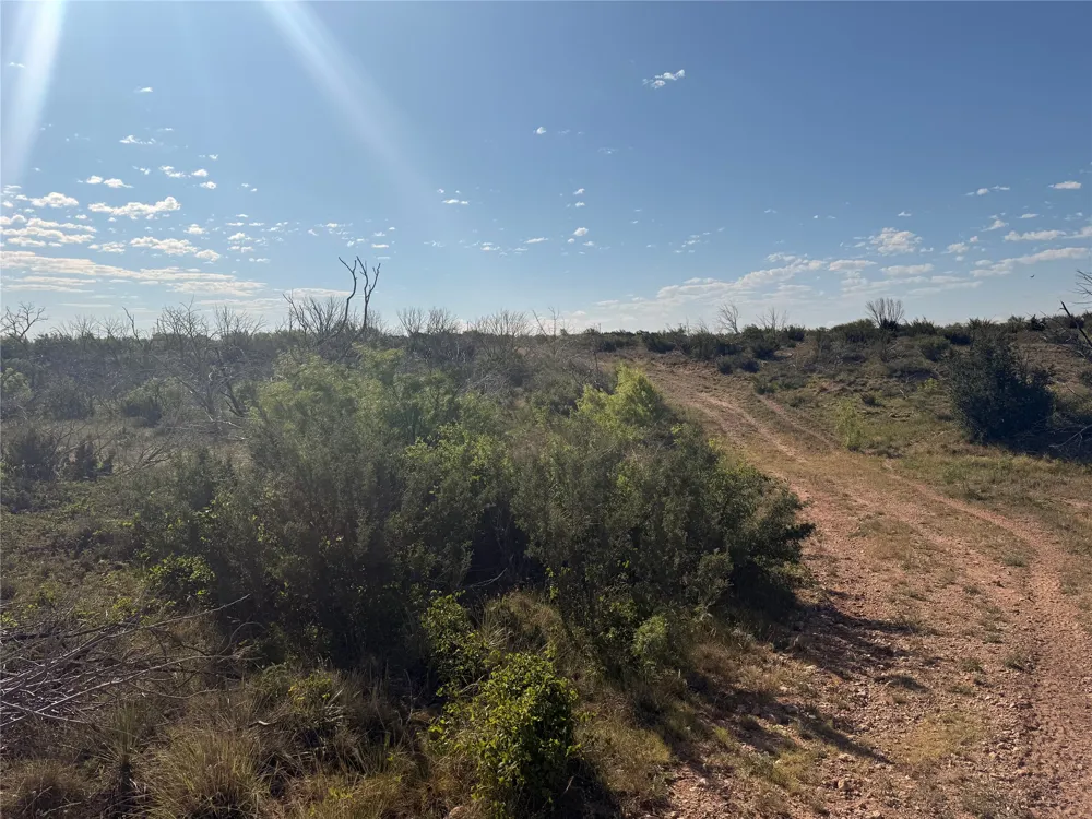180 CR 343 Merkel, TX 79536