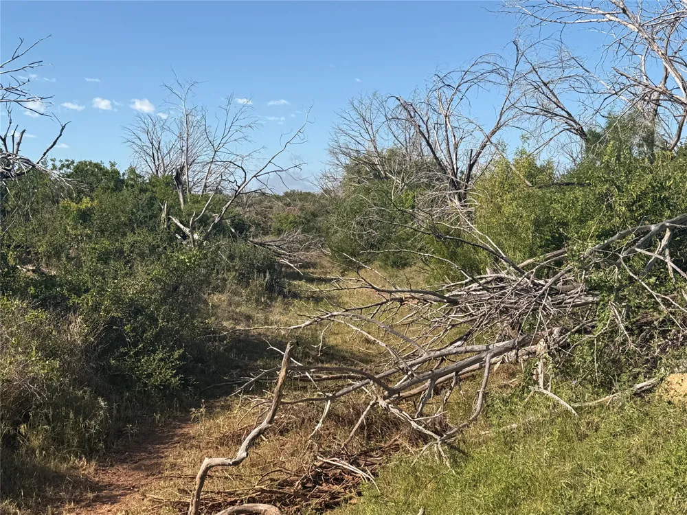 180 CR 343 Merkel, TX 79536