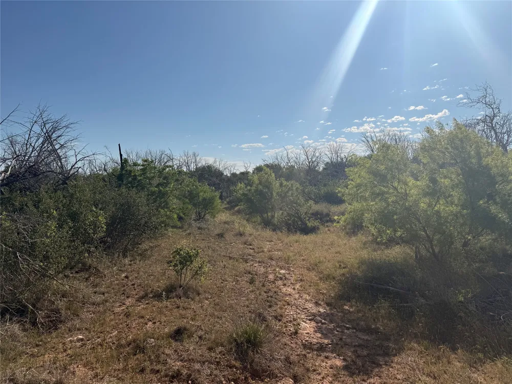180 CR 343 Merkel, TX 79536