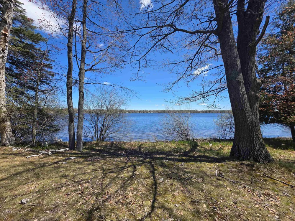 Bliss Road Plainfield Township, MI 48739