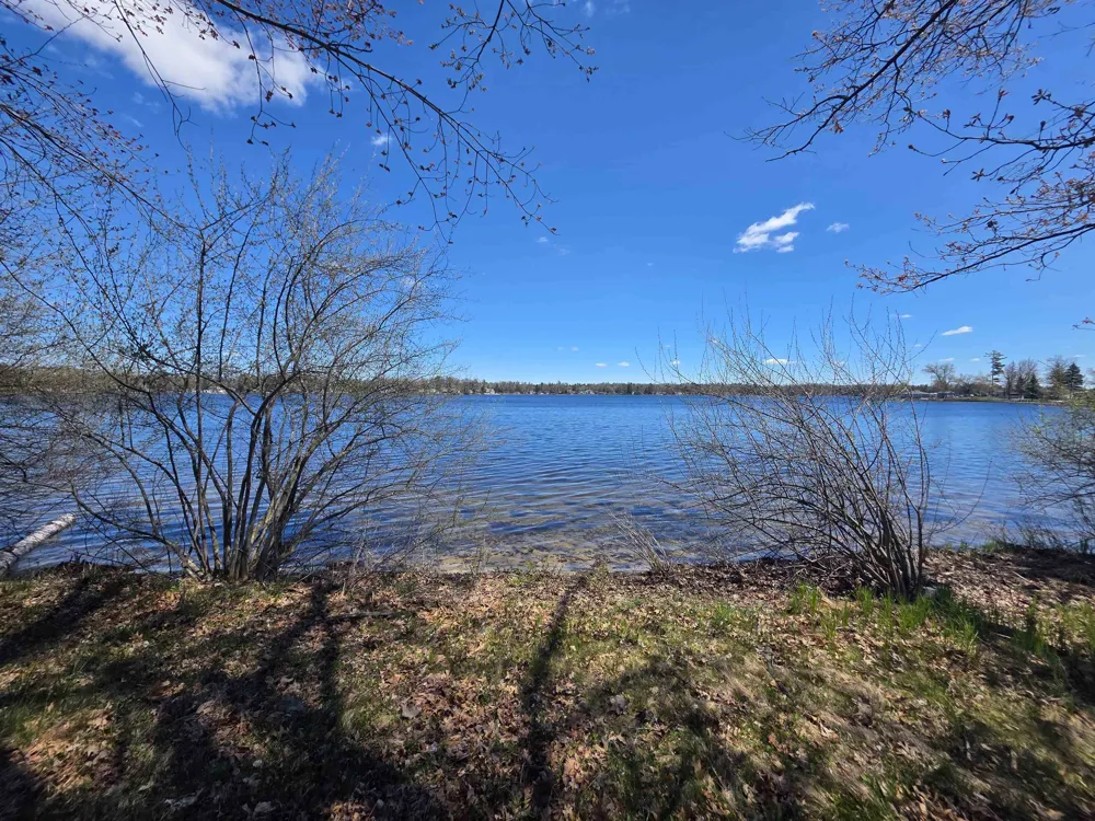 Bliss Road Plainfield Township, MI 48739