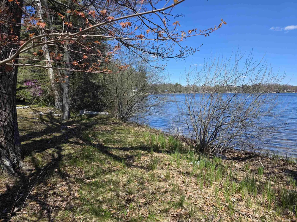 Bliss Road Plainfield Township, MI 48739