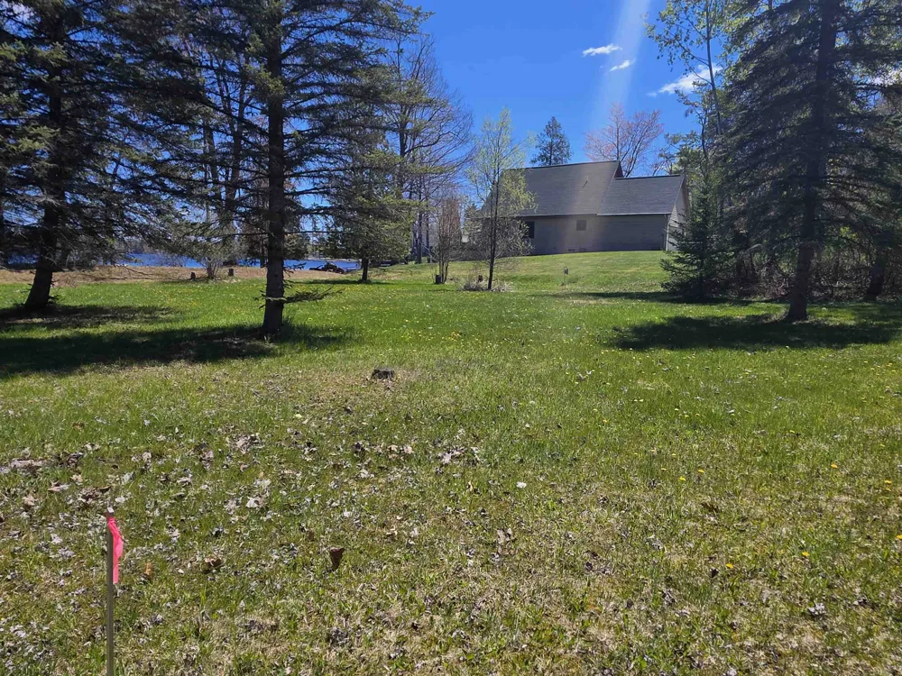 Bliss Road Plainfield Township, MI 48739