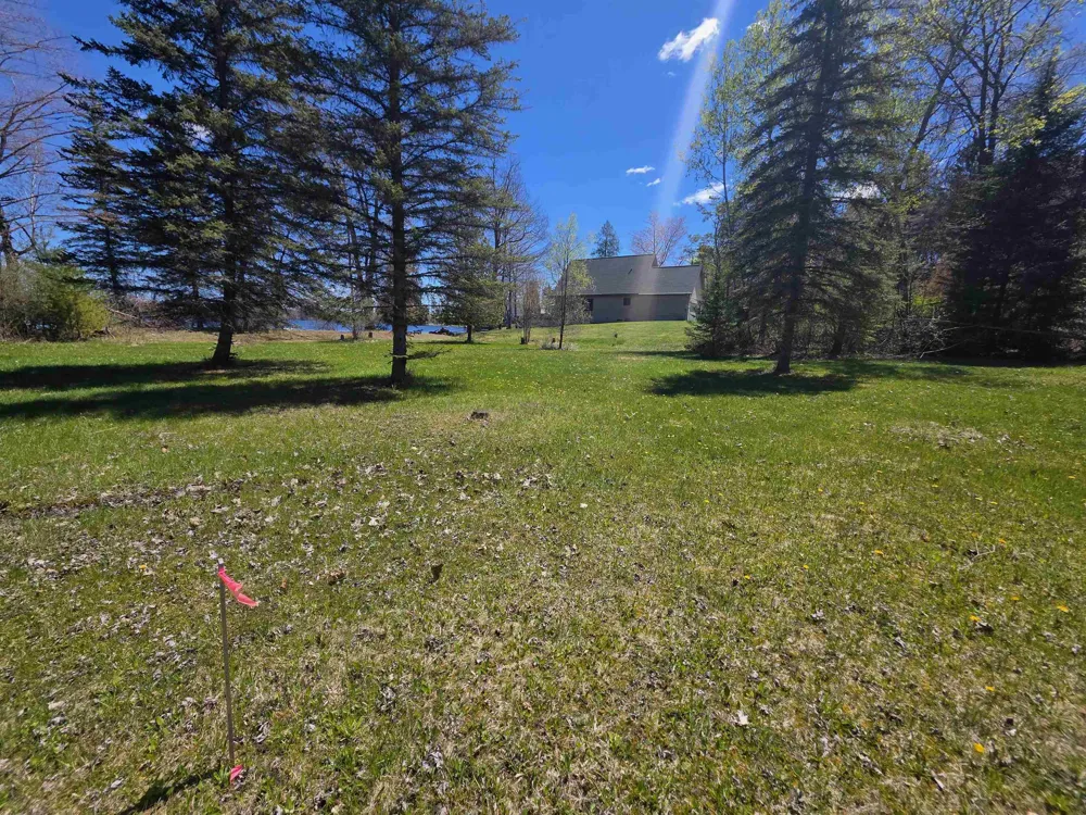 Bliss Road Plainfield Township, MI 48739