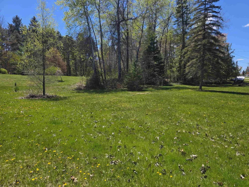 Bliss Road Plainfield Township, MI 48739